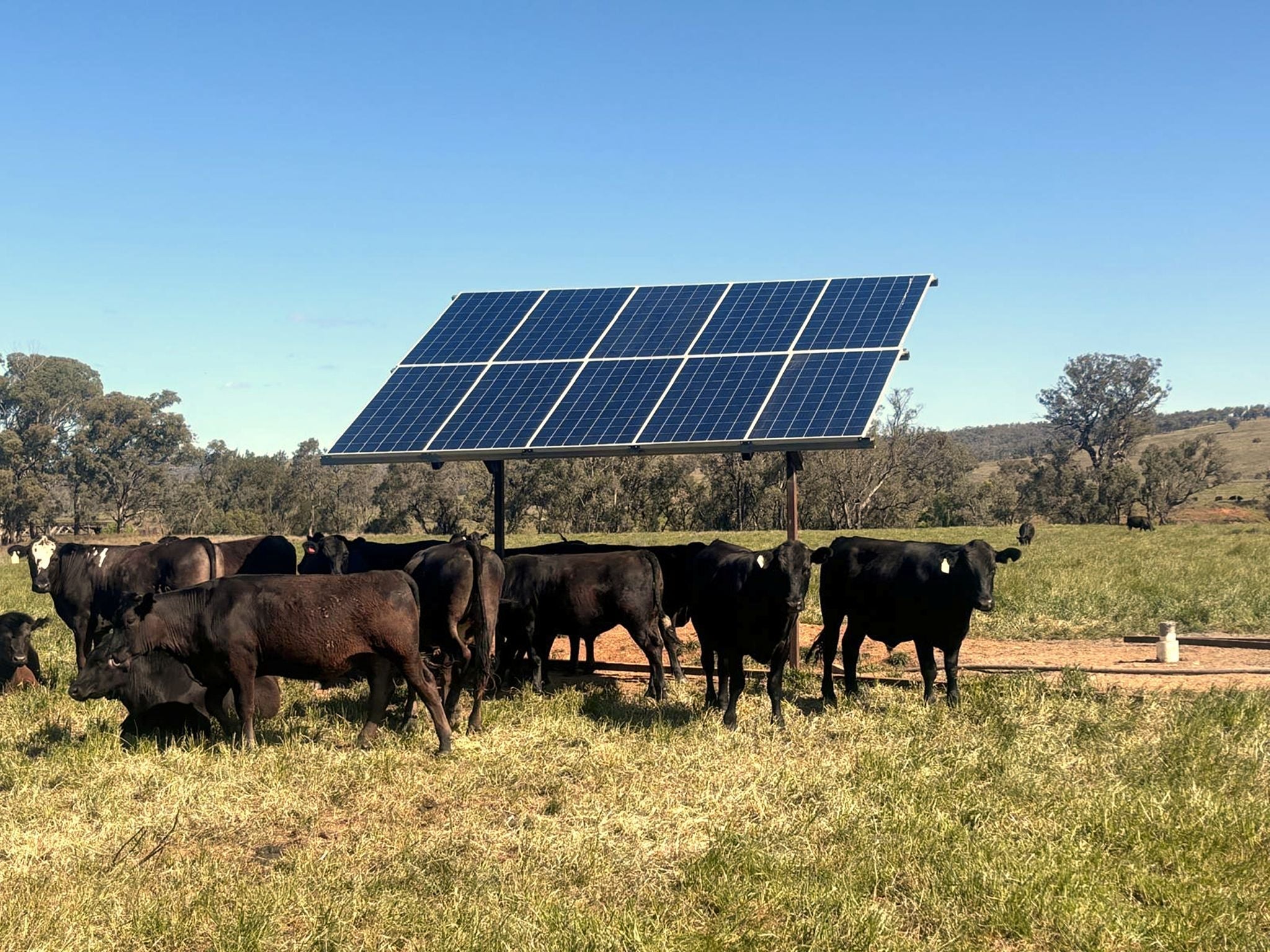 Why choose Solar Pump over Windmill? - Tuhorse Australia